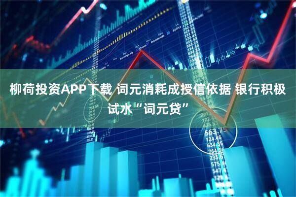 柳荷投资APP下载 词元消耗成授信依据 银行积极试水“词元贷”
